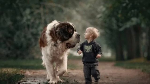 Рассказ про мальчика Лёшу