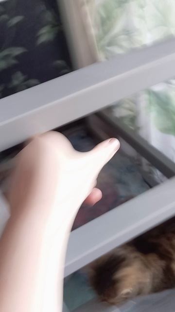 Катя Кики&булочка💋