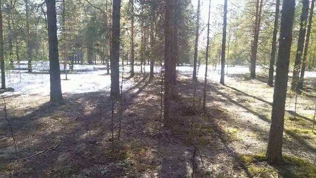 Март топит снег