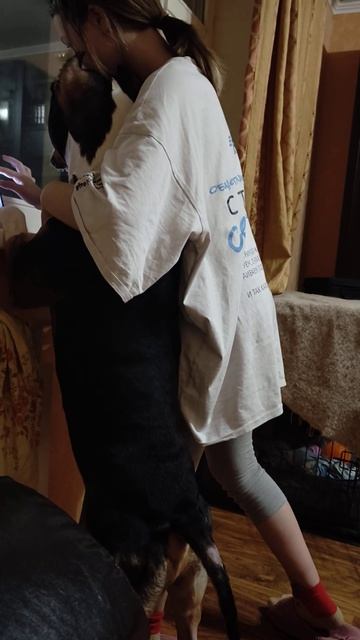 рядом с девочкой, брутальный пёс становиться 