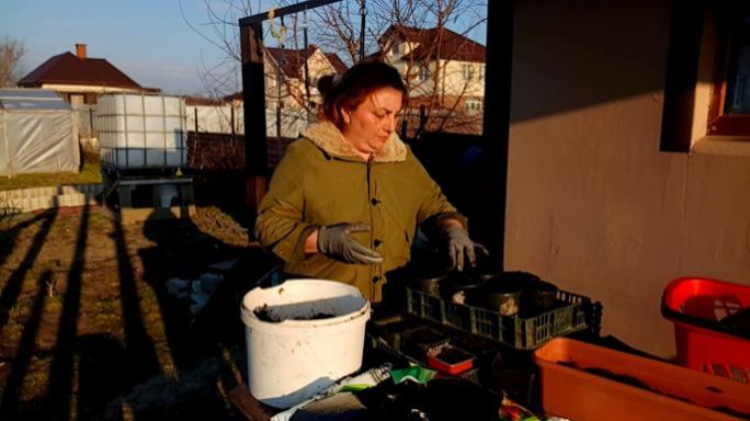 Шикарные Крокусы / Набиваю Стаканчики / Спасаю Кусты Смородины /