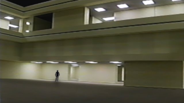 Backrooms - Found Footage #4