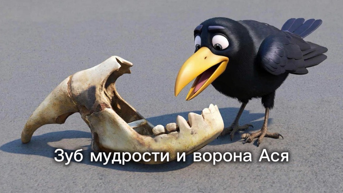 Зубы мудрости у мудрых? Ворона Ася расскажет