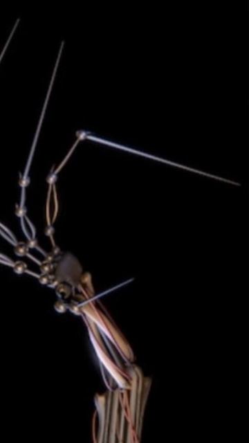 он выбрался! !!! эксперимент 1-0-0-6