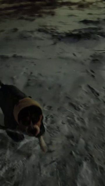 27 декабря 2025 г.