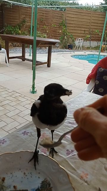 Просто Ричи