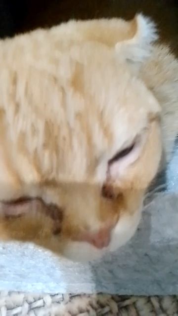 пишите в комментариях снимать shots мюили нет?