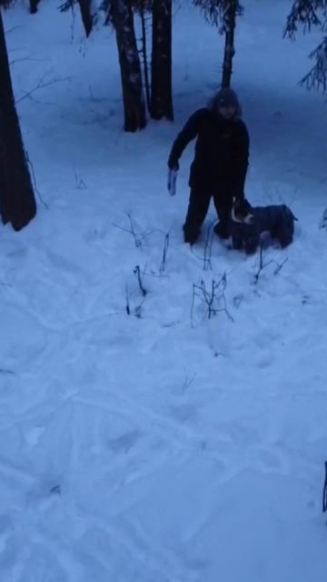 попали на скрытую камеру