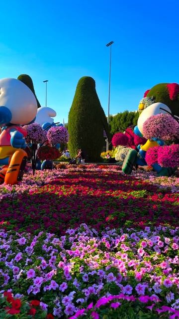 дубайская рассада💐