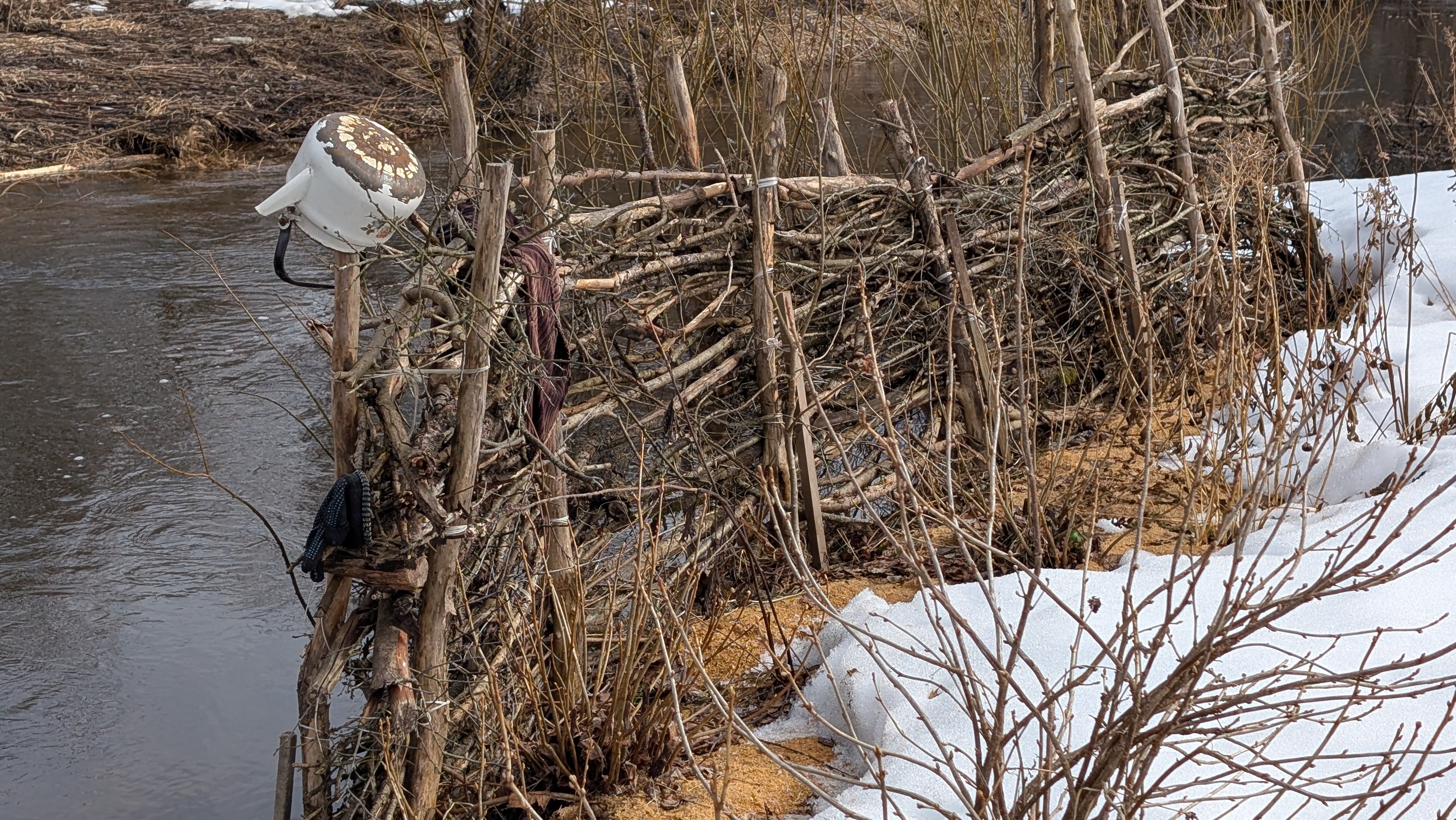 Как же хочеться на огород. Весна поздняя ,ползу по сугробам .Угроза затопления.Укрепляю берег.