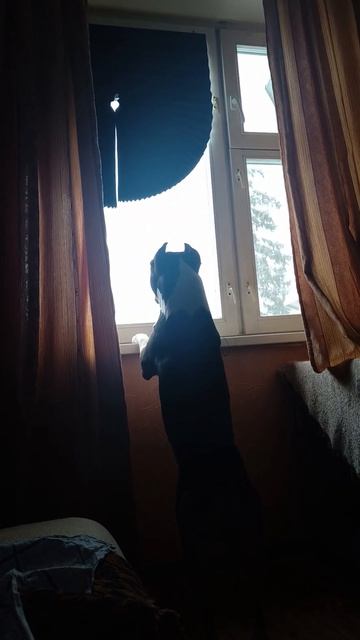 26 декабря 2025 г.