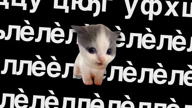 😳ЭТОГО ТЫ ТОЧНО НЕ ЗНАЛ О KinitoPET