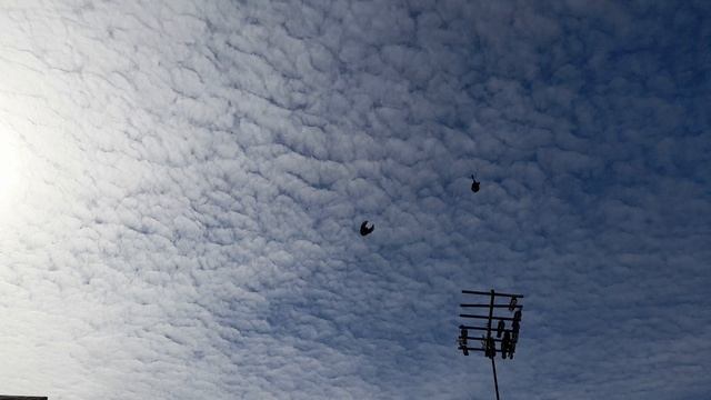 5a2ae1e2ab9b03906445ed379d6be940