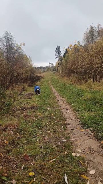 гуляем, всем доброго утра