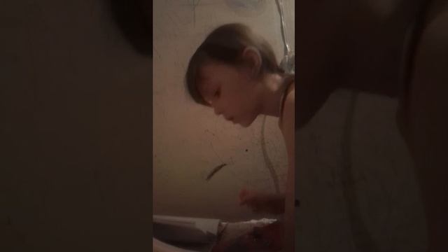 1c026ab1bd62ed55c0a9a05298ef1653