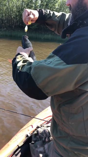 АРКТИЧЕСКАЯ РЫБАЛКА