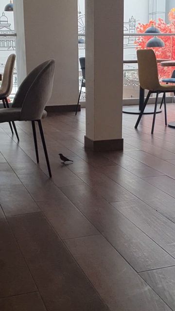 D8e7bc49cec35cbc3b7495f3e4258797