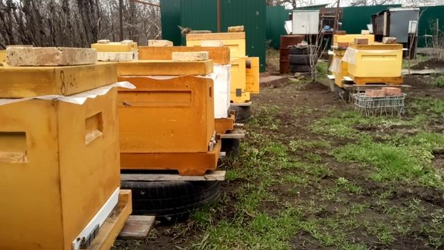 Первая побудительная подкормка весной. Часть3. Важное дополнение.