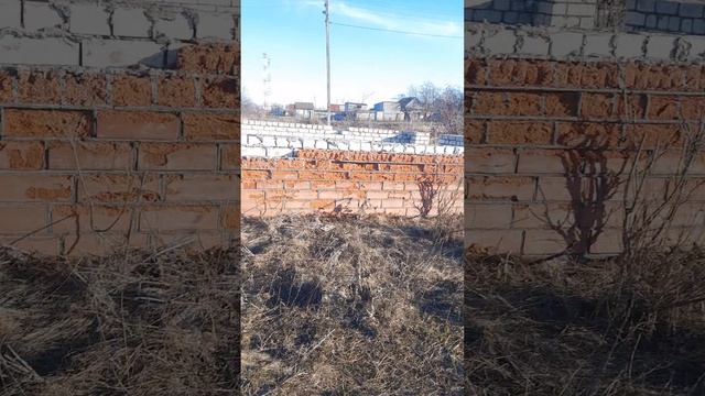 Ae1b1ac3e80bd203c2392cc49b977a92