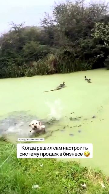 Протестируй бесплатно ии продавца для своего бизнеса здесь: Https://t.me/unisalesmen_bot