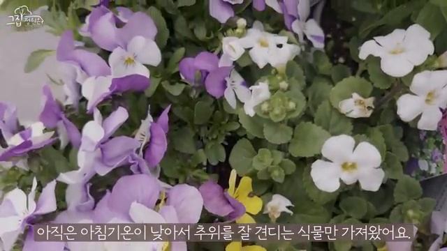 весна🌱 🌿🌸🌷