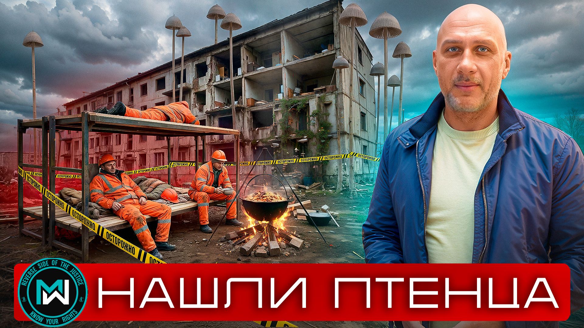 Грибы на стене и кривые новостройки: кто виноват — УК или голуби?