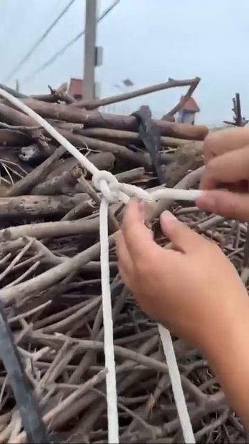 59de3df6768890905044663be0bf0c50