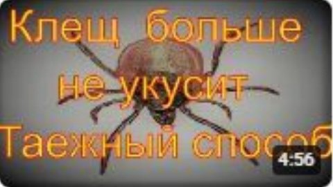 Энцефалитный Клещ больше не укусит Дедовский способ от клещей Охота Рыбалка Тайга Сибирь