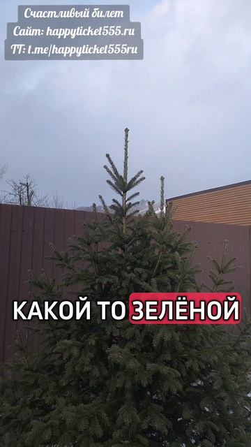 Главная ошибка на первых свиданиях