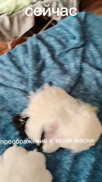 до  ,год назад,. сейчас.