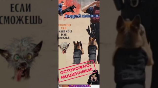 Воскресный тролинг