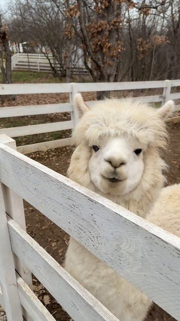 Мини влог с подружкой