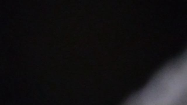 Если стала бы я птицей лесной