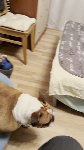 Продолжаем веселье