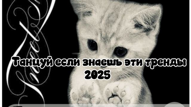 Танцуй если знаешь эти тренды 2025