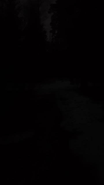 Иду по лесу ночью