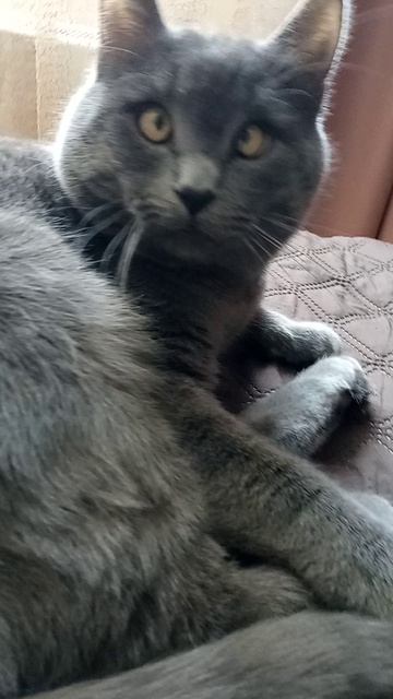 VID_20260329_132857 29.03.026