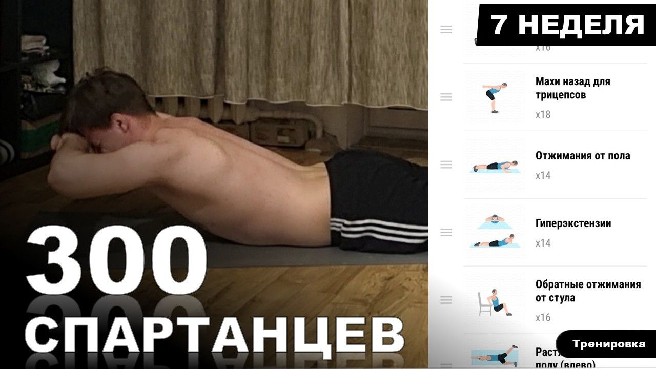 ТРЕНИРОВКА ВСЕГО ТЕЛА | Марафон - 300 СПАРТАНЦЕВ | #7