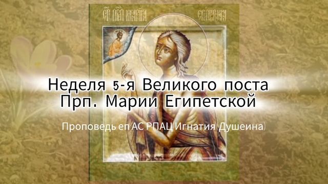 80775bef7a8b6e3a880b81d39e753592