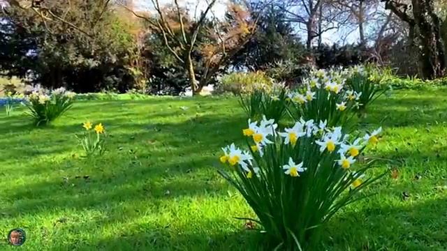 ТЫ ТОЛЬКО НЕ ГРУСТИ  - ХОРОШЕЕ НАСТРОЕНИЕ Music Mix For The Soul @OceanRelaxation-u7u