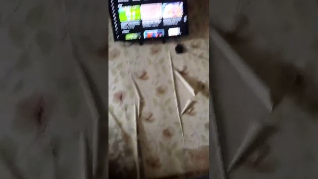 разоблочение на Вову с могилеву из лайка+смотрю спокойной ночи малыши ссылка на канал в лайке в опис