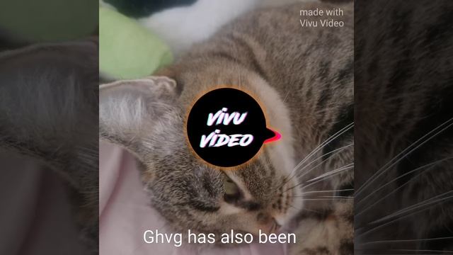 I Have Been Using This For A While Now And Have No 
In My Life To Do This For My 
And The Details Th