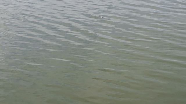 Мы случайно оказались на рыбалке и полусили массу эмоций и информации !!!