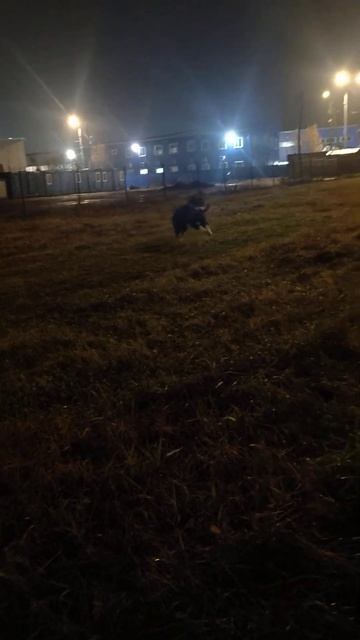 просто вынес оператора