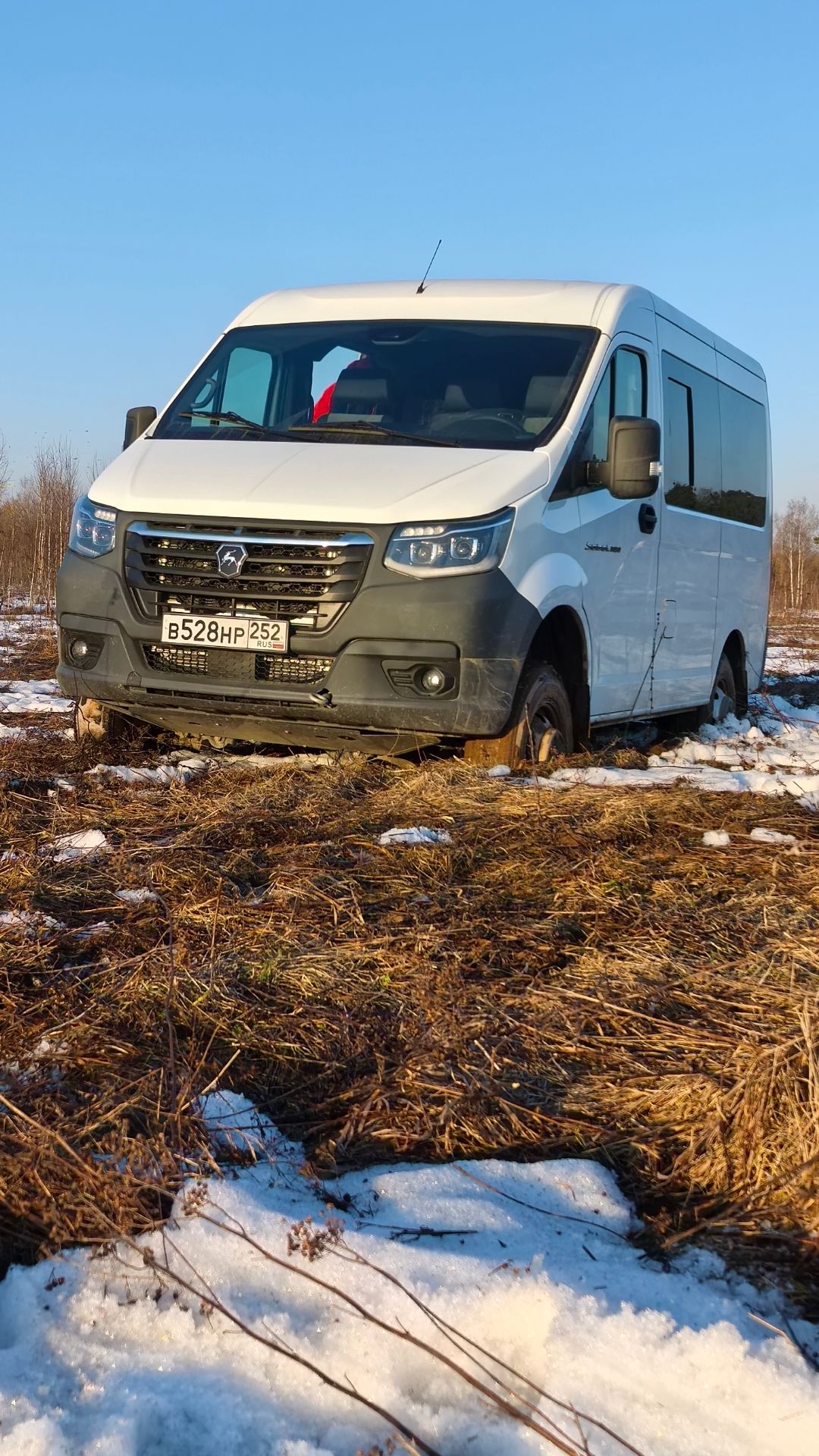 Соболь (кродёться)