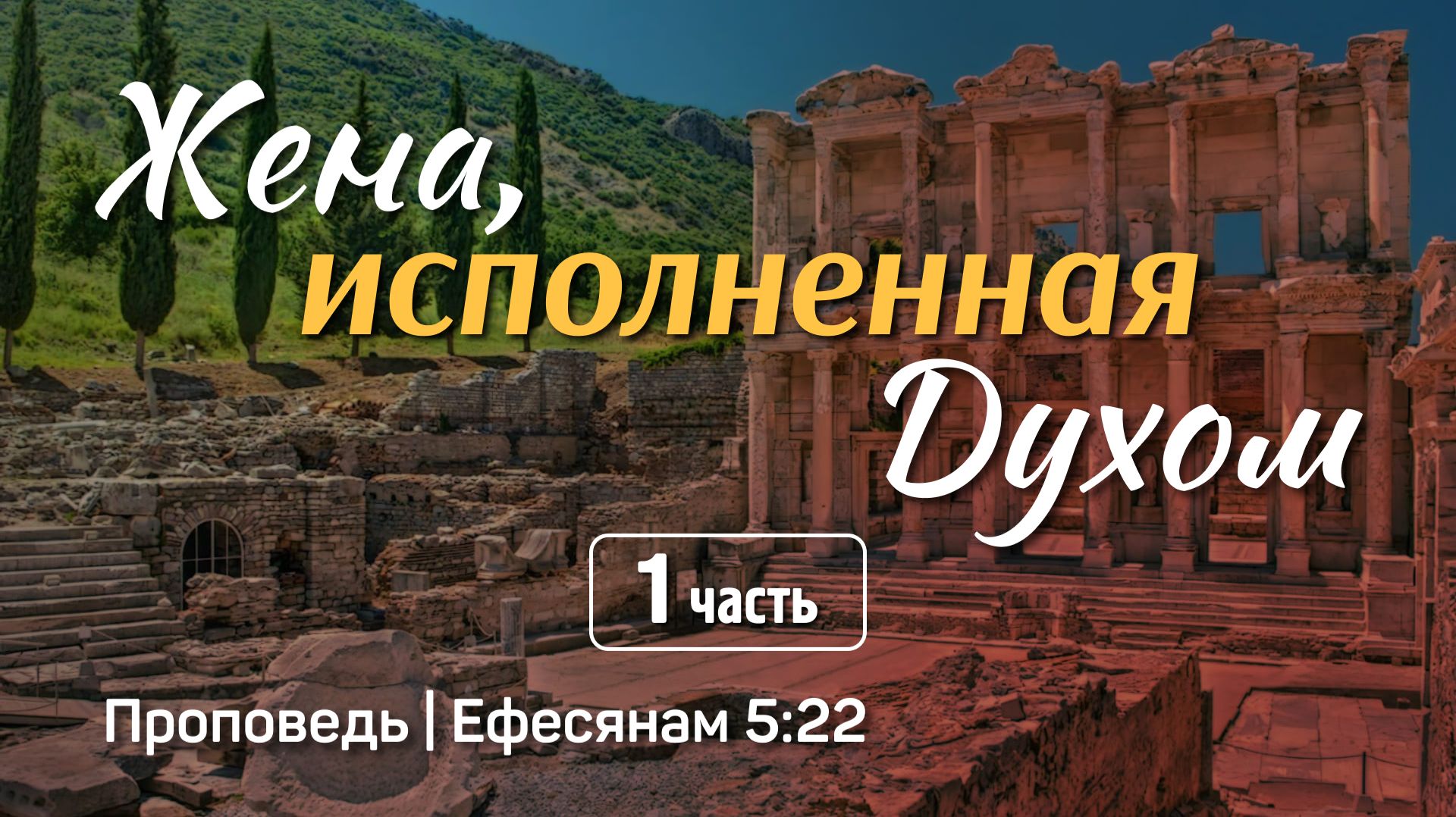 B2d78fa13362a92eafac5b7a3f23f161