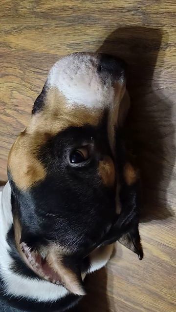 13 ноября 2025 г.