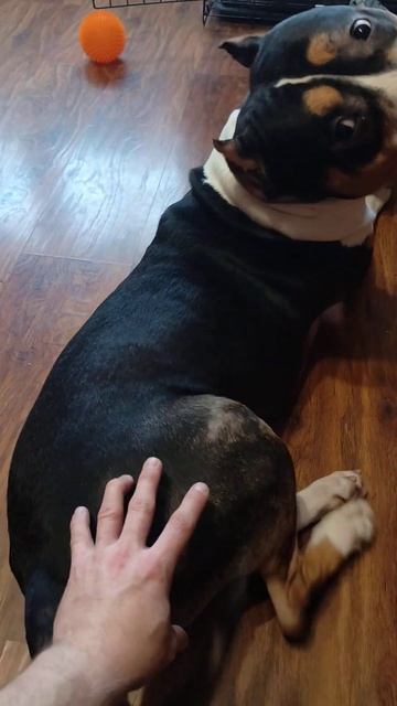 первый рабочий день в 2026 году