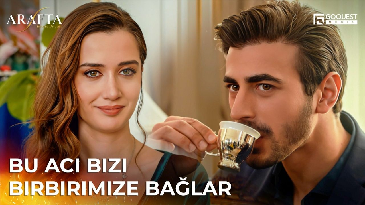 A1d68375f3c6564700e7969cf3b84c03