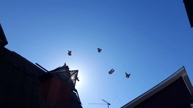 02bf48cc584e8fad13369d1588e845fd